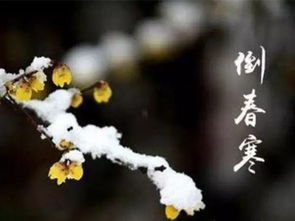 遵义未来15天天气情况,阴雨与晴暖交替,春意渐浓需防倒春寒 遵义未来15天天气情况,阴雨与晴暖交替,春意渐浓需防倒春寒