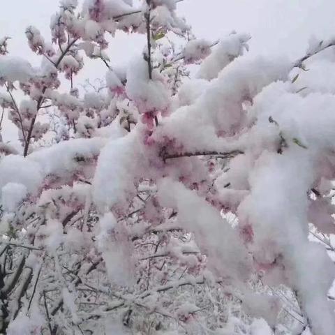 山东今明后7天最新天气,大范围降温来袭,多地将迎降雨与霜冻 山东今明后7天最新天气,大范围降温来袭,多地将迎降雨与霜冻