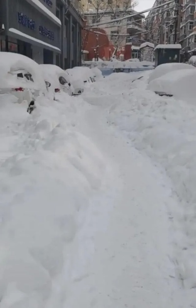 黑龙江暴雪天气最新动态，多地积雪超30厘米，交通受阻，应急响应升级
