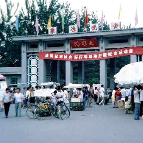 济南天气预报15天查询，掌握泉城天气脉搏，从容规划每一天