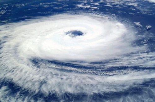 雨迹寻踪,24小时降雨云图里的自然密语 雨迹寻踪,24小时降雨云图里的自然密语