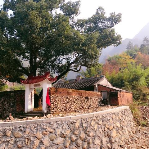 温州未来30天天气趋势分析，潮湿多雨，气温波动需留意