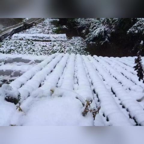 21日天气预报,寒潮来袭,多地气温骤降,注意防寒保暖 21日天气预报,寒潮来袭,多地气温骤降,注意防寒保暖