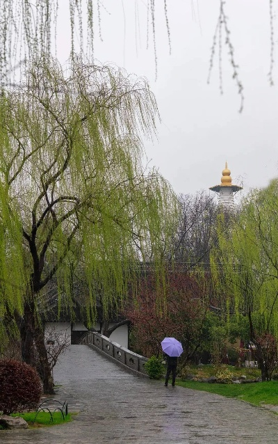 扬州天气预报,春日烟雨中的古城絮语 扬州天气预报,春日烟雨中的古城絮语
