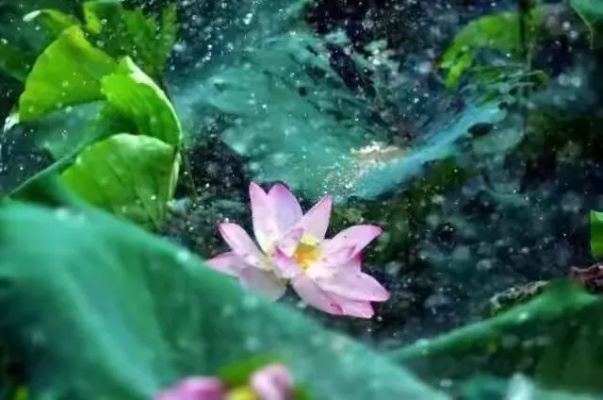 雨落无声,岁月有情 雨落无声,岁月有情
