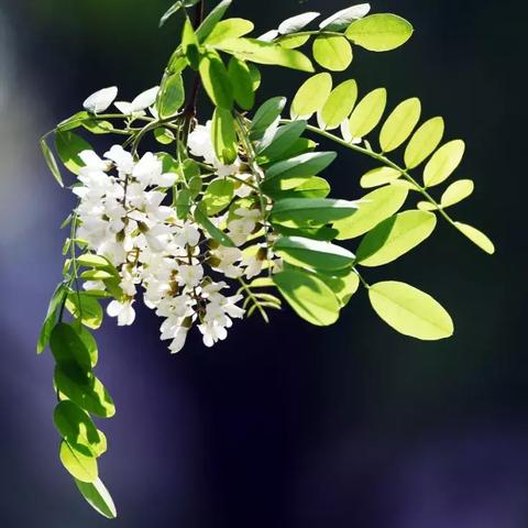 山东未来60天天气预报，春夏交替，气温波动需警惕