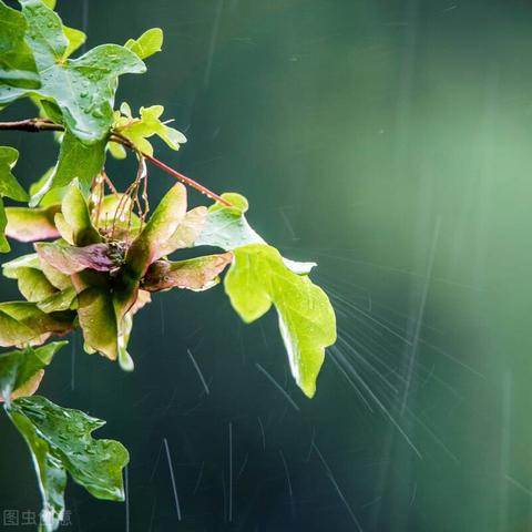 精准到分钟，实时天气预报如何告诉你几点几分下雨